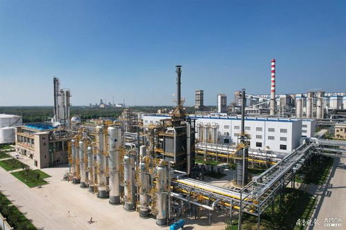 扬“煤”所长谋转型，助企成长促共赢——在绿色发展中实现焦炭产业的协同升级